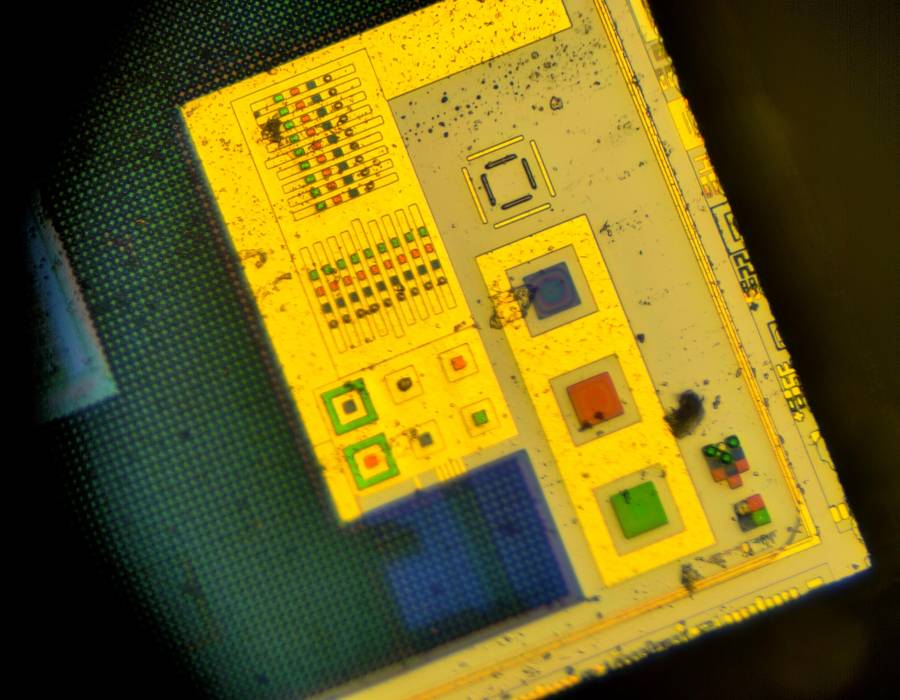 2026-07-31-dslr-optical.jpg