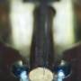 2020_0116_233451_004.jpg