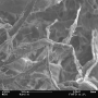 20260801-sem-tp-2.png