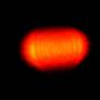2025-09-05-210808-laser.jpg